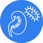 Kidney infection